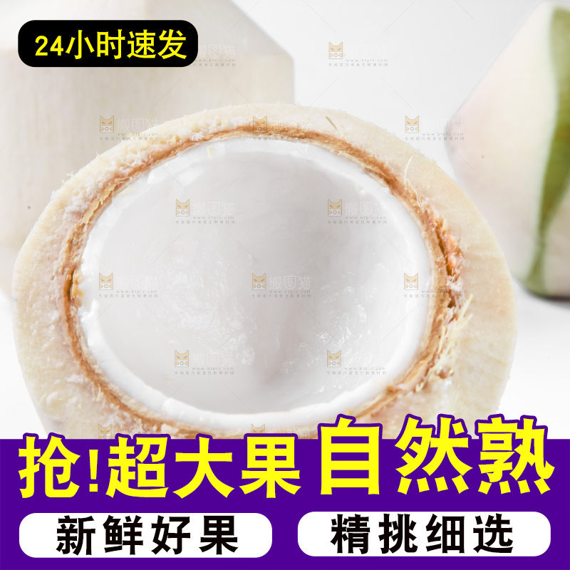 白底上青椰子