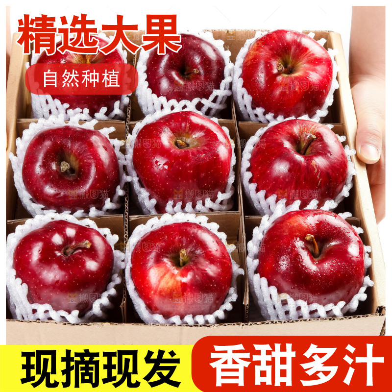 箱子里装着甘肃花牛苹果