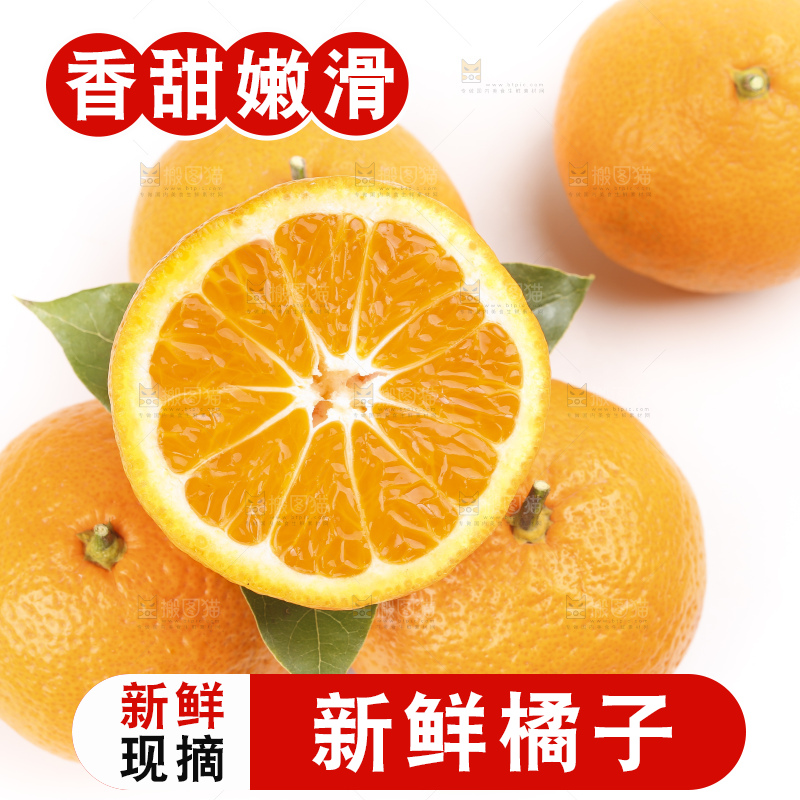 白底上的椪柑橘