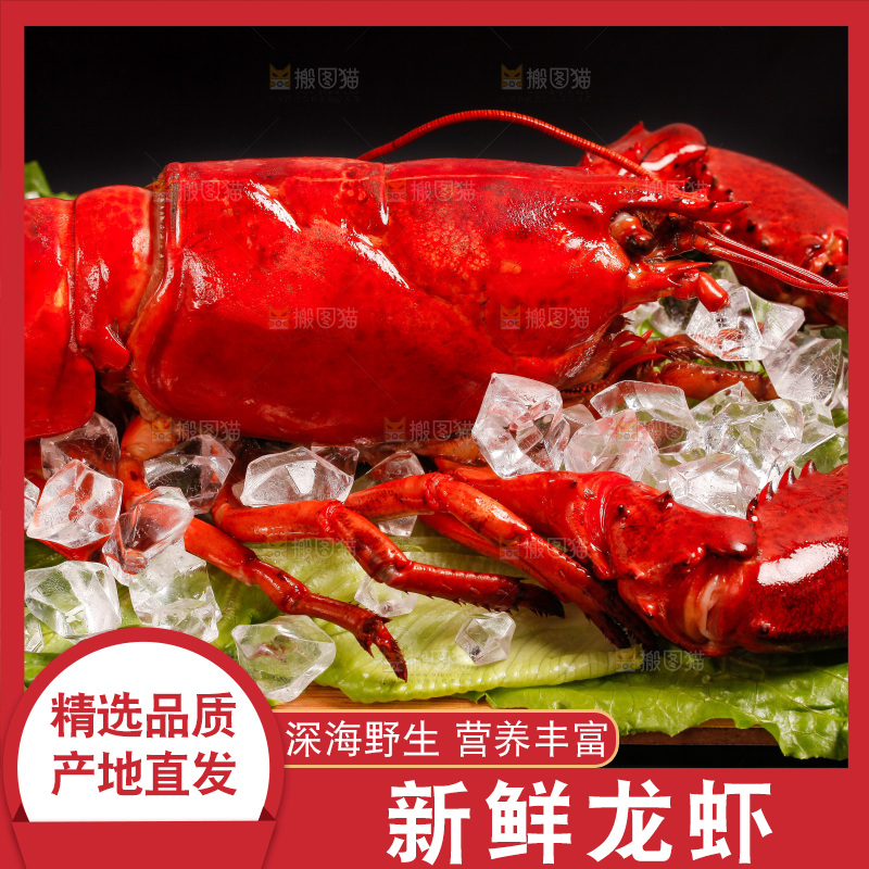 黑底上放着一盘澳洲大龙虾
