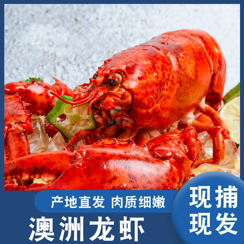 石板上的波士顿大龙虾