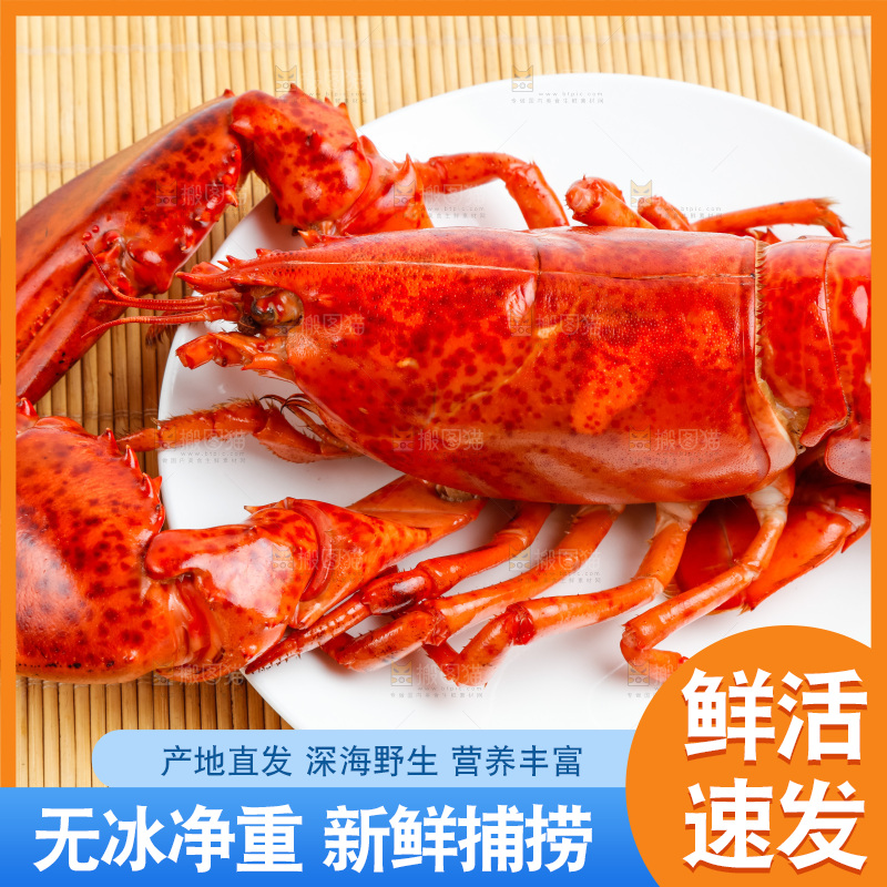 木底上放着波士顿大龙虾