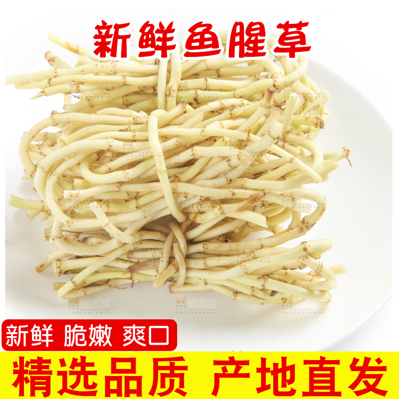 白底上放着折耳根