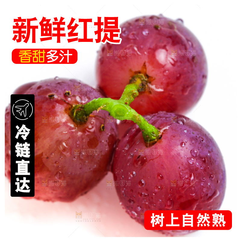 新鲜提子放在白底上