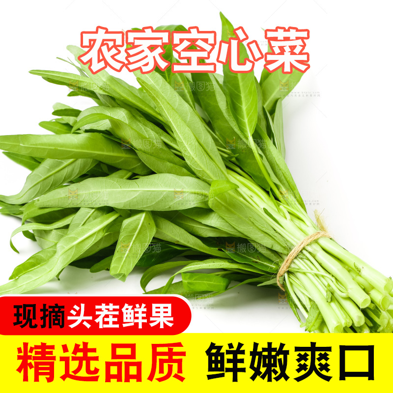 白底上放着空心菜