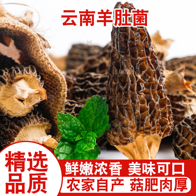浅底上放着干羊肚菌