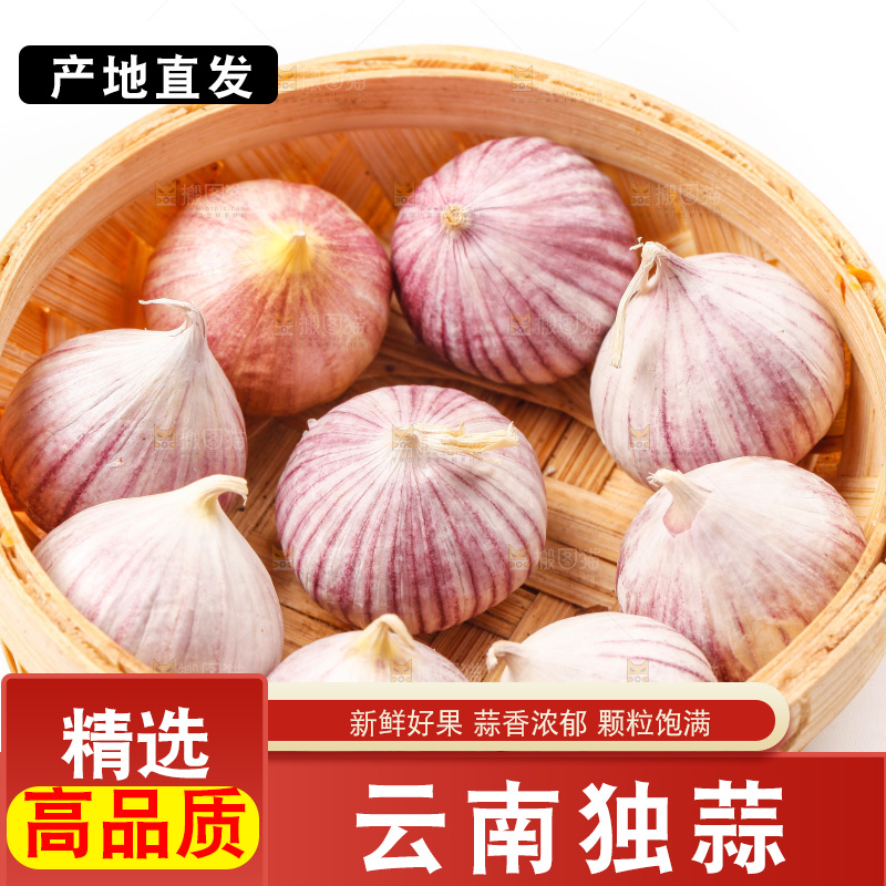 白底上放着一筐独蒜