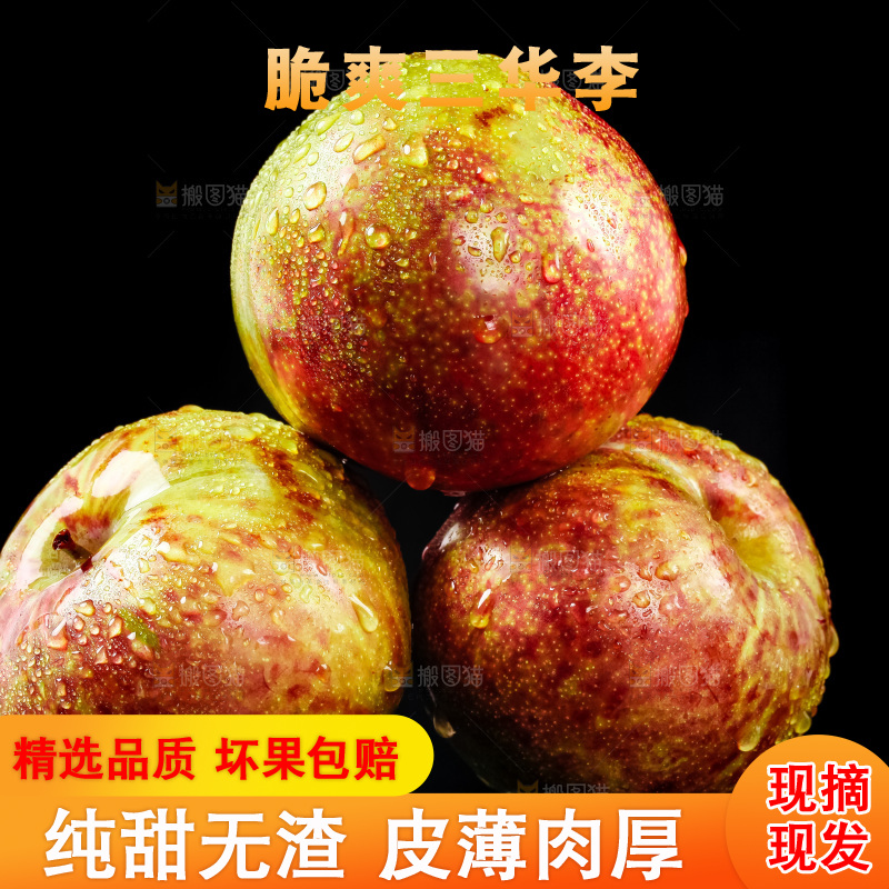 黑底上放着新鲜三华李