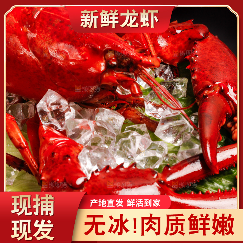 黑底上放着一盘澳洲大龙虾