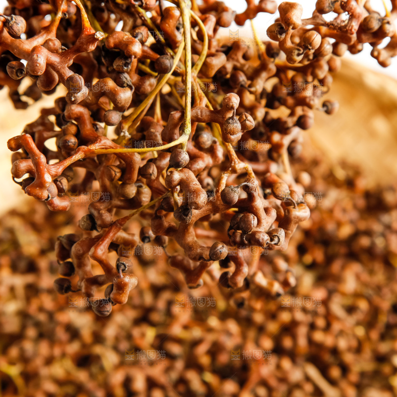 篮子里装着拐枣果