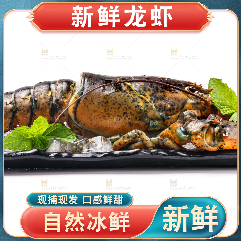 白底上的龙虾