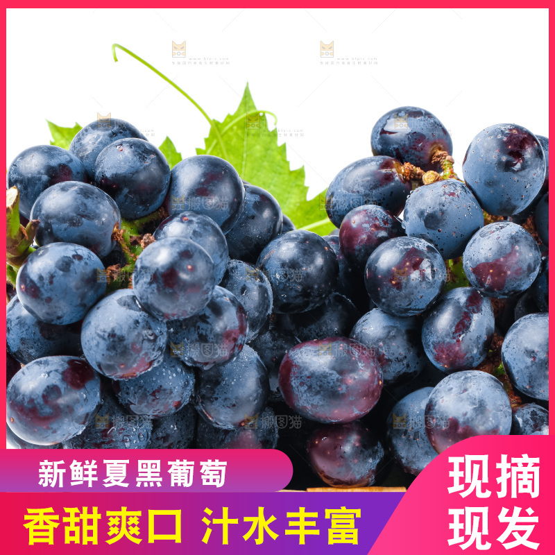 一筐新鲜夏黑放在白底上