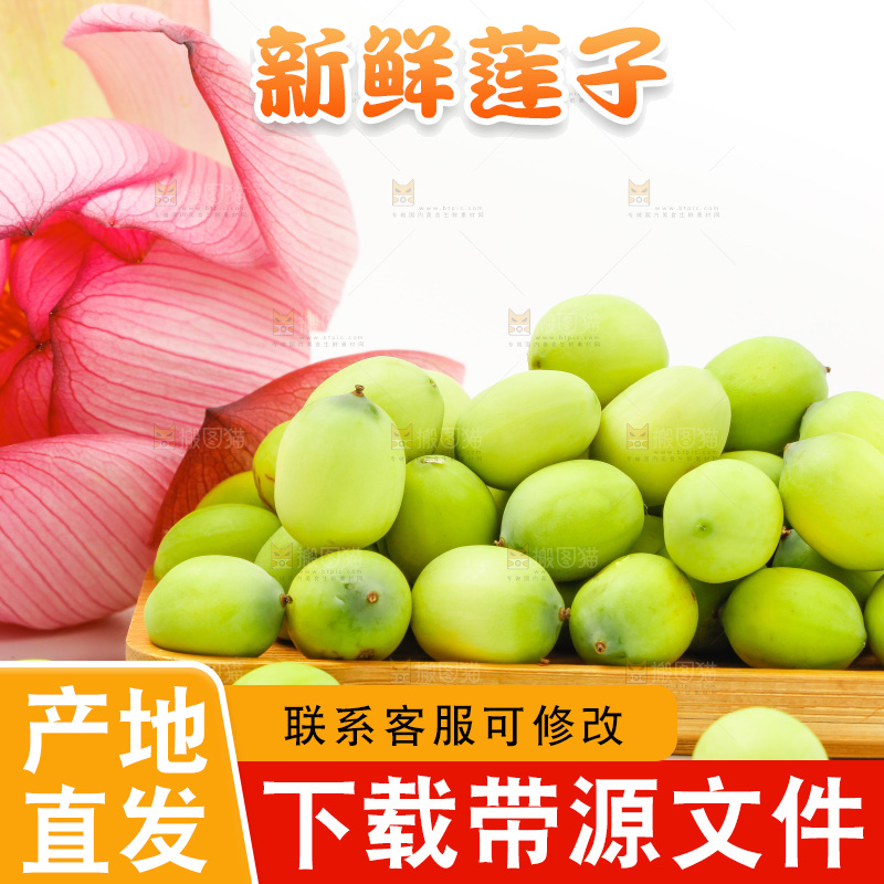 浅底上的新鲜莲子