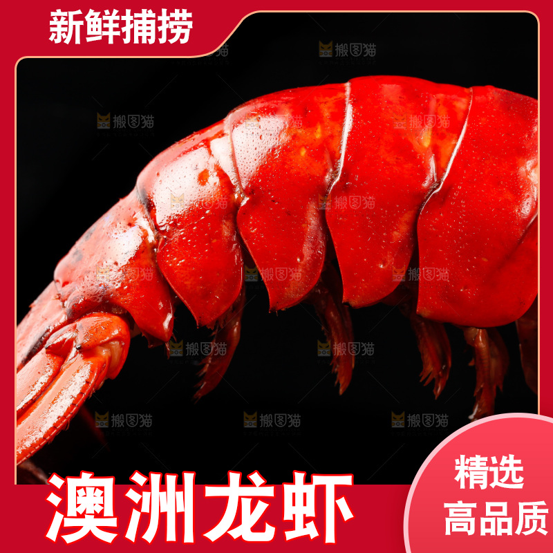 黑底上放着波士顿龙虾