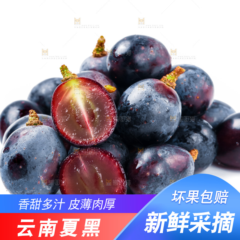 云南夏黑葡萄放在白底上