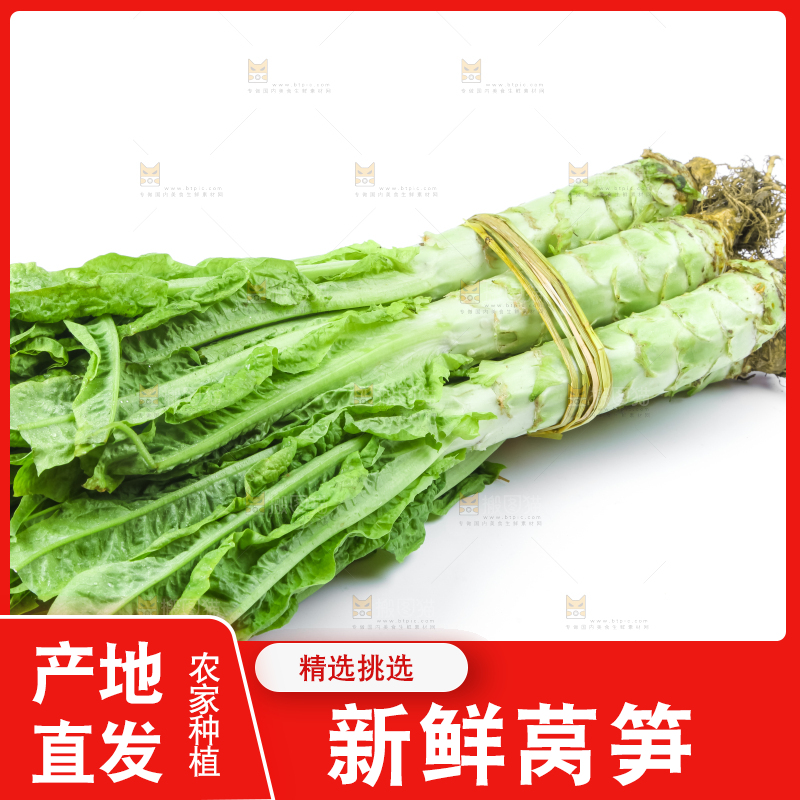 白底上的莴笋