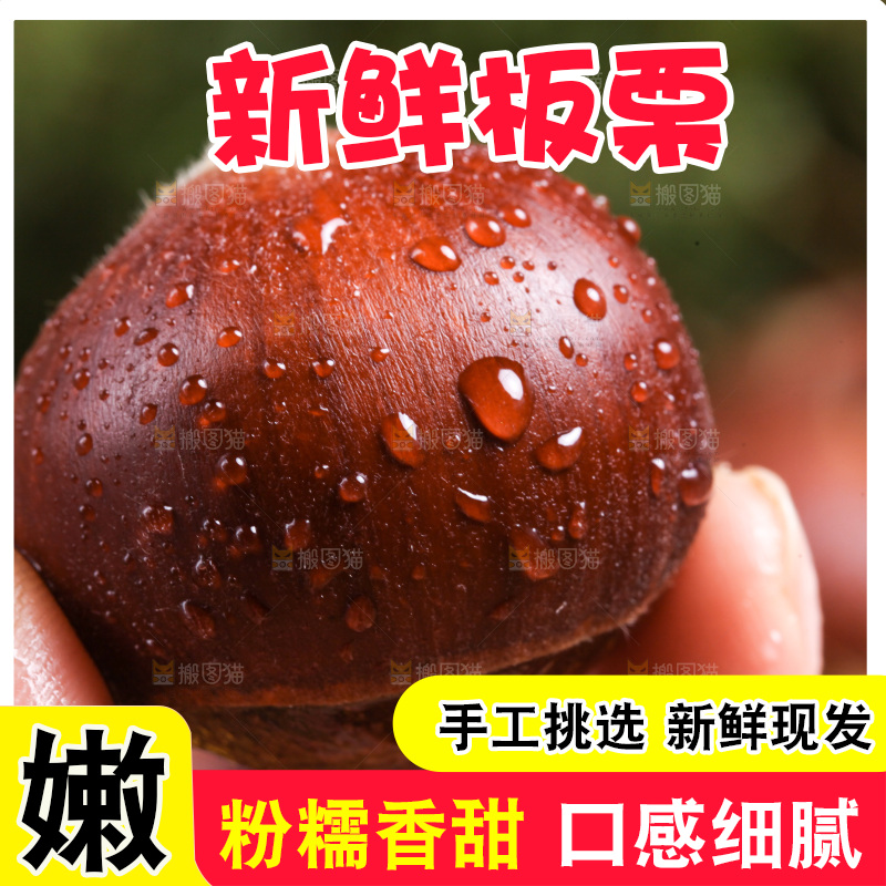 手里拿着新鲜板栗