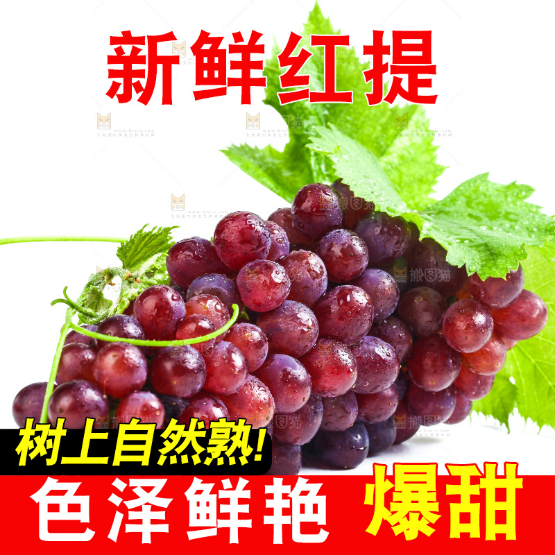 白底上的红提