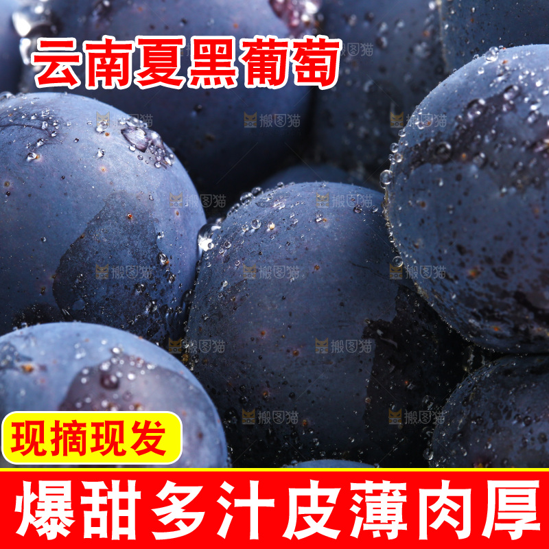 浅底上放着云南夏黑葡萄