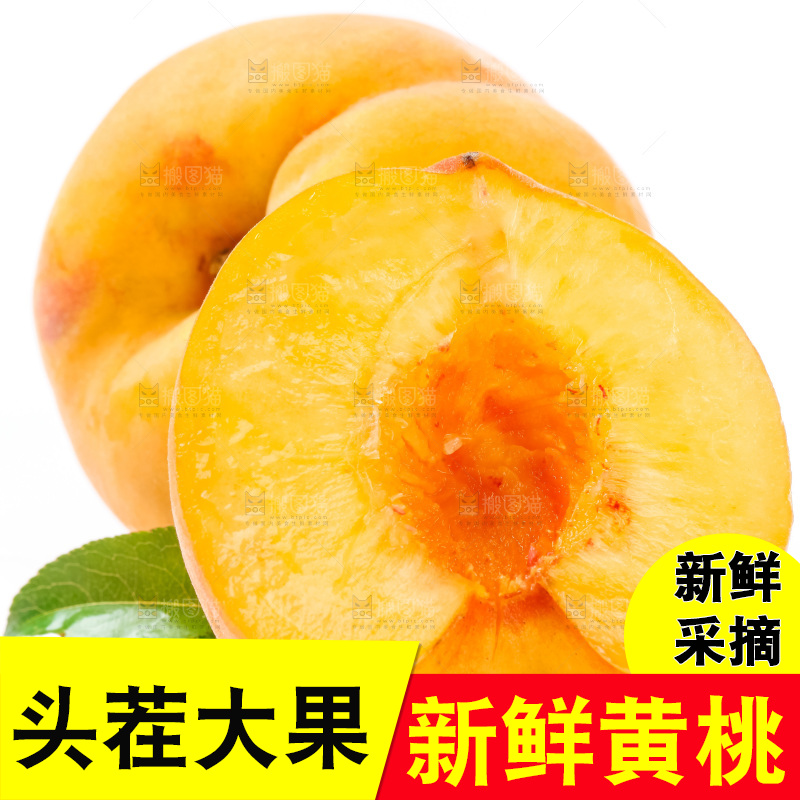 切开的山东黄桃放在白底上