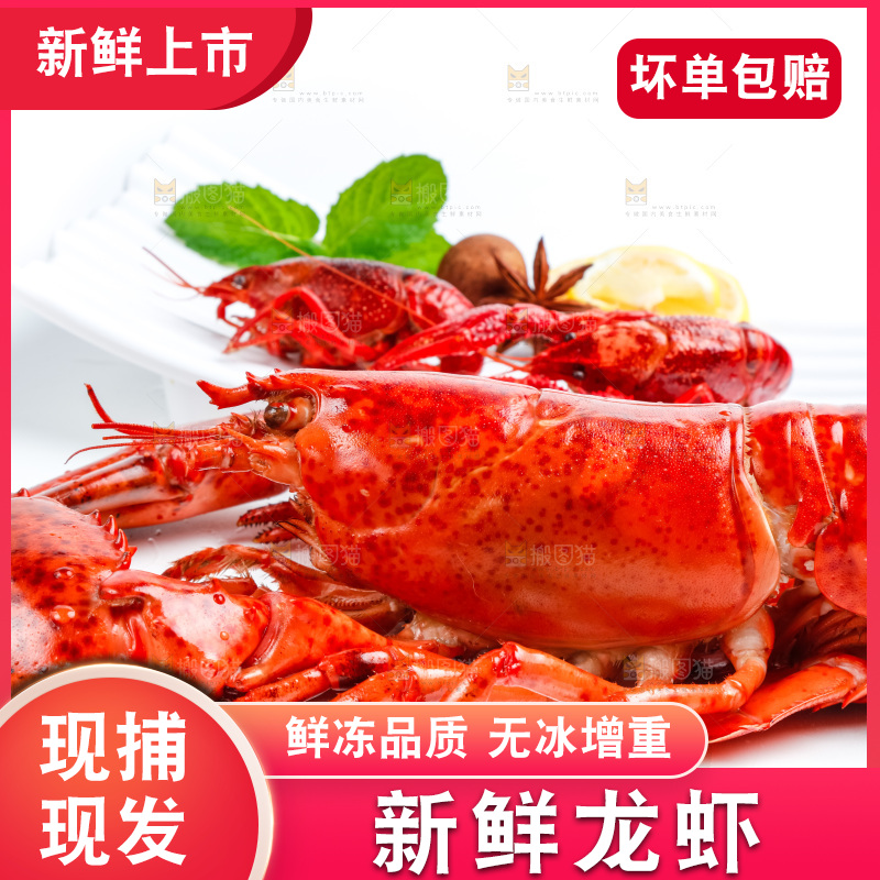 浅底上放着波士顿大龙虾