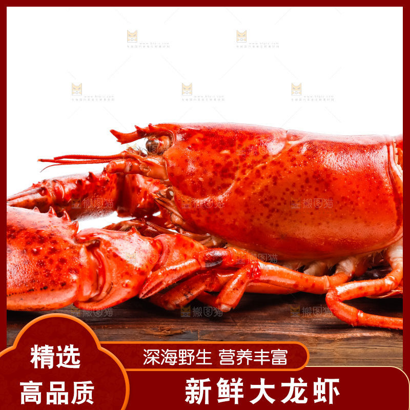 木底上的大龙虾