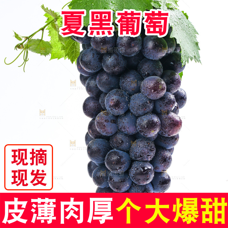 白底上的夏黑