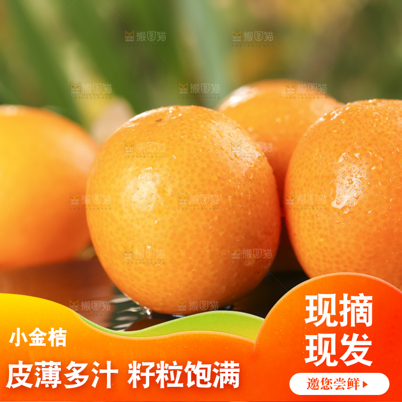 黑石板上的广西金钱橘