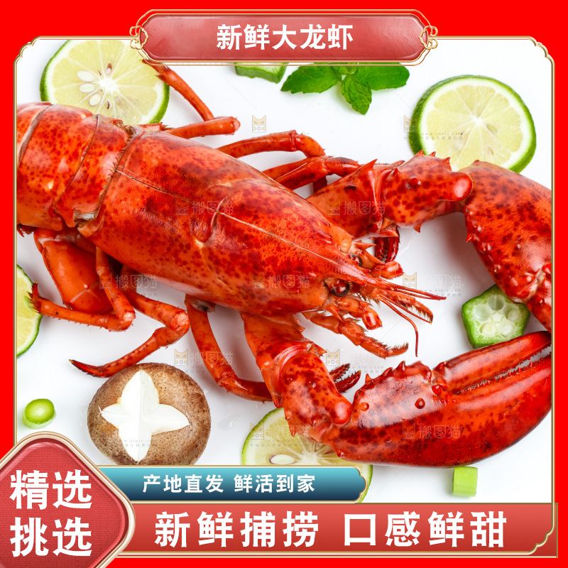浅底上放着大龙虾