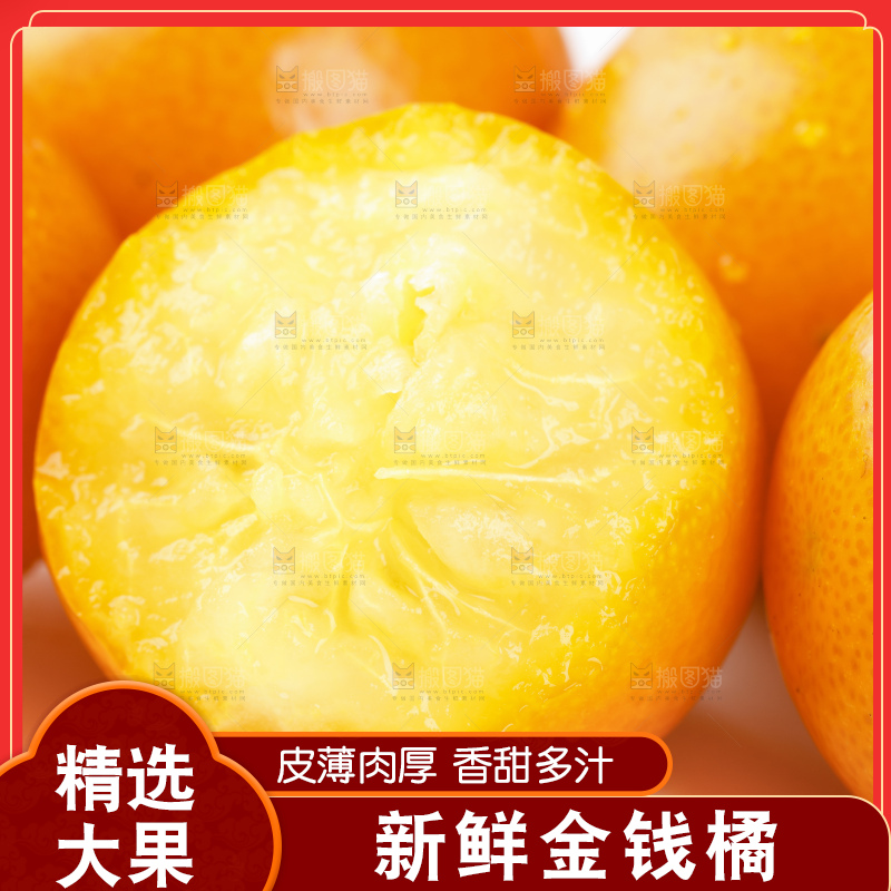 白底上的金桔