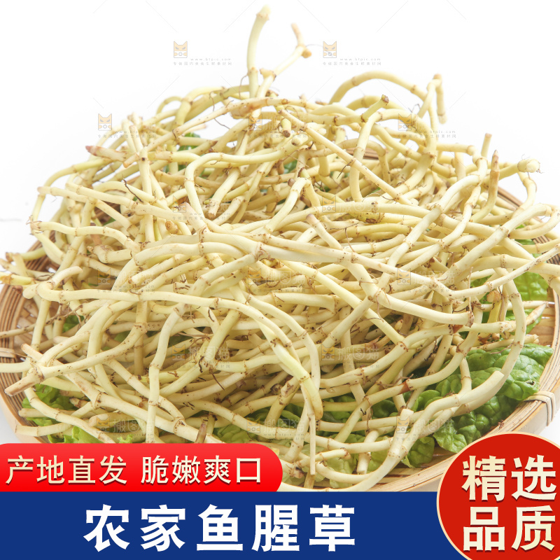 篮子里装着鱼腥草