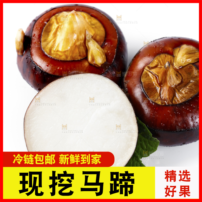 白底上放着广西马蹄