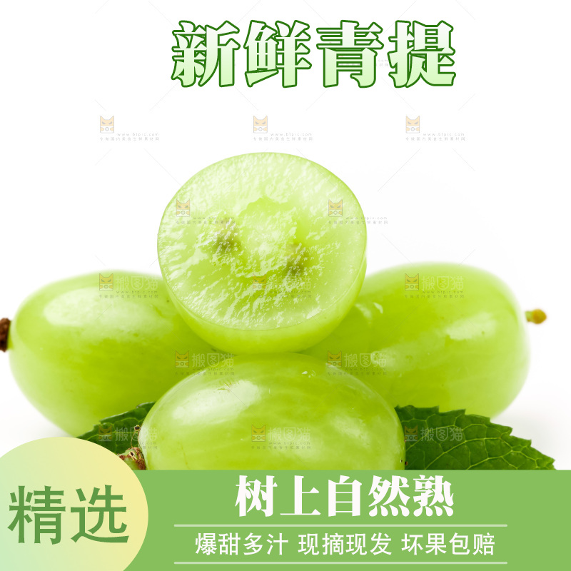 白底上的青提