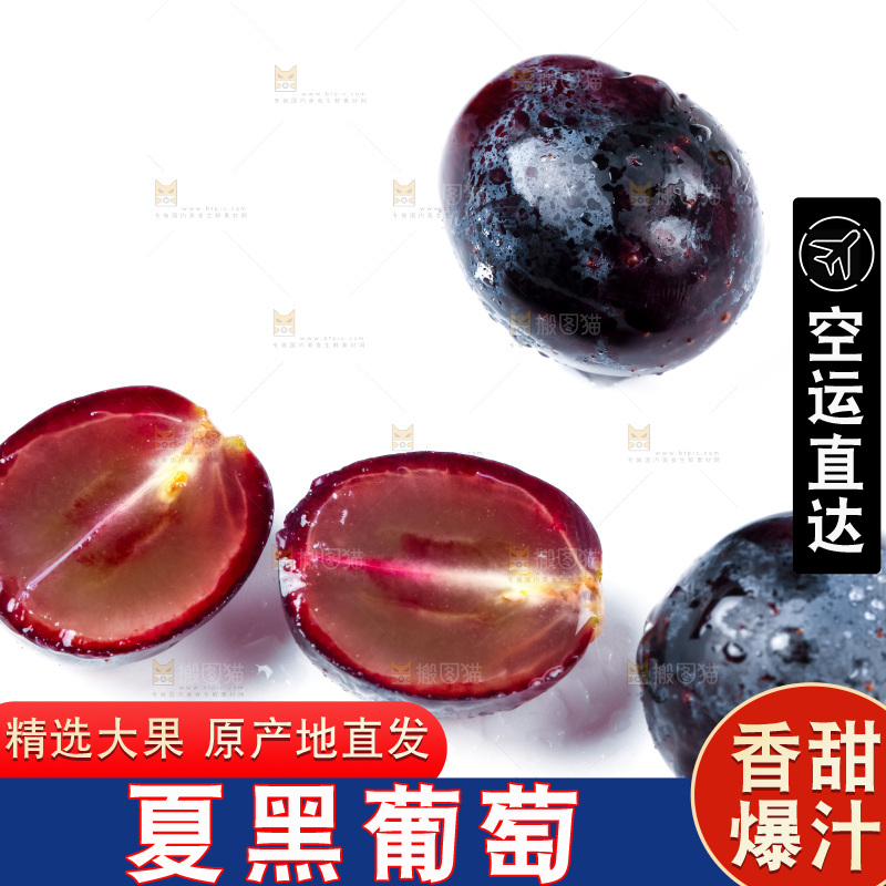 白底上的夏黑葡萄