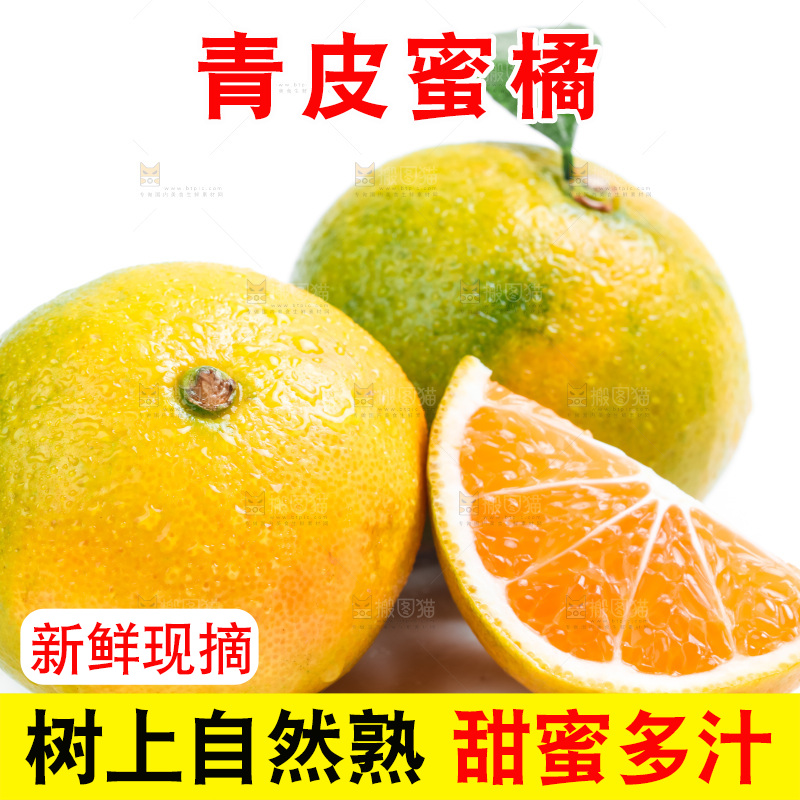 新鲜的青皮蜜橘放在白底上