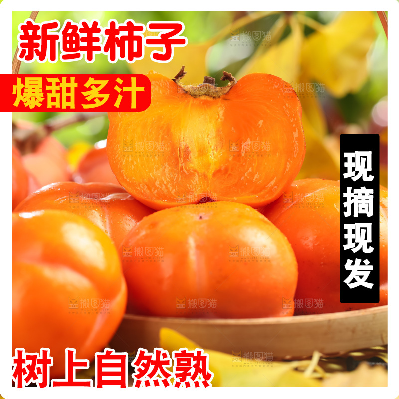 篮子里装着河北磨盘柿子