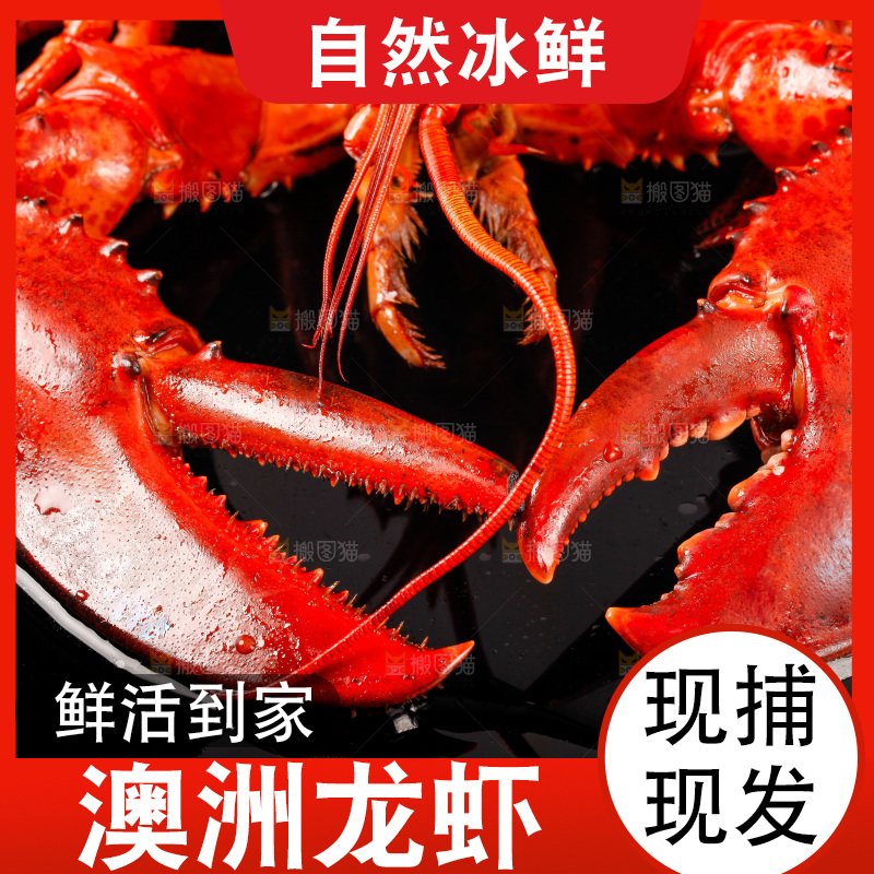 黑底上放着波士顿龙虾