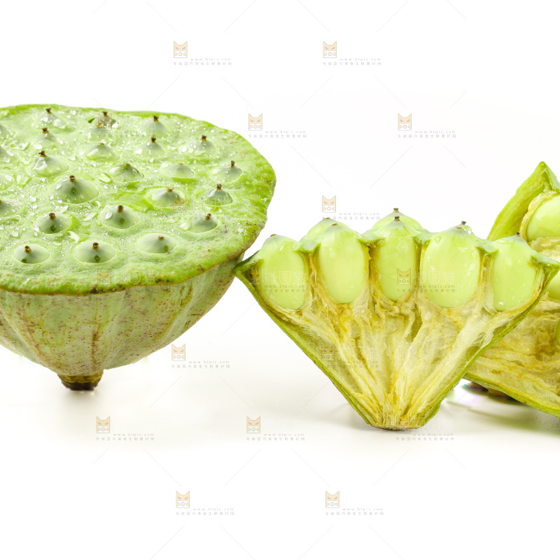 白底上的嫩莲蓬