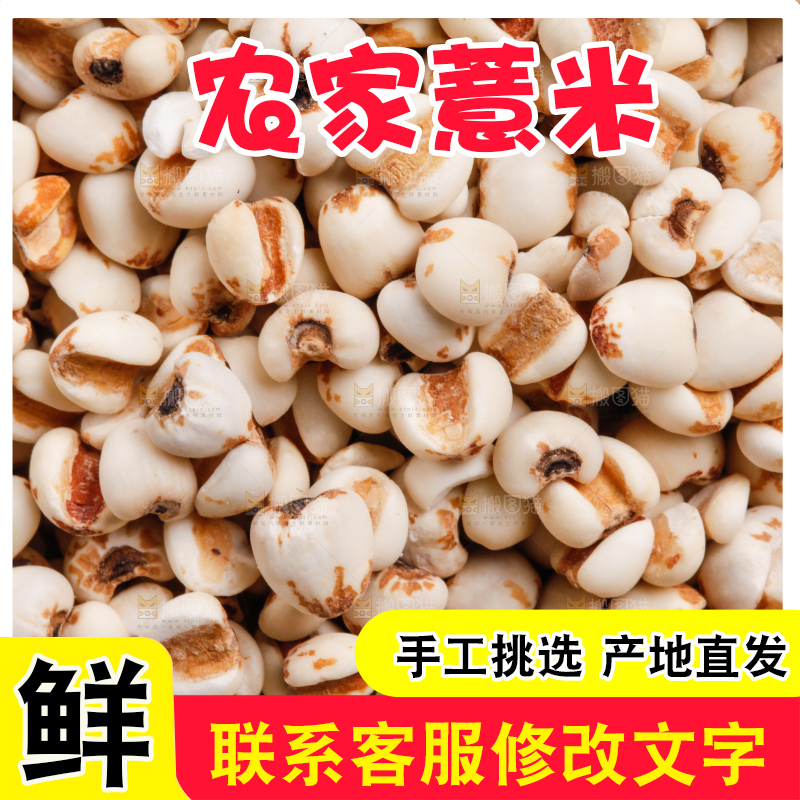 浅底上放着贵州薏米