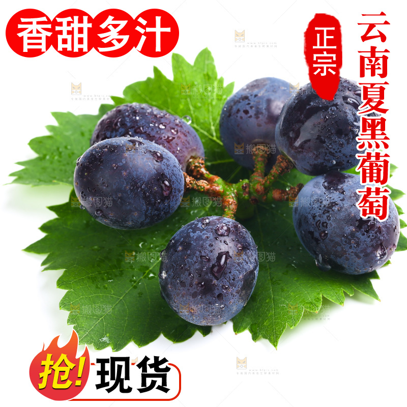 云南夏黑葡萄放在白底上