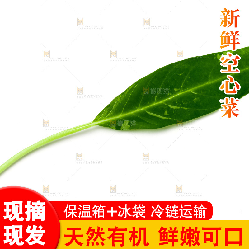 白底上放着新鲜空心菜