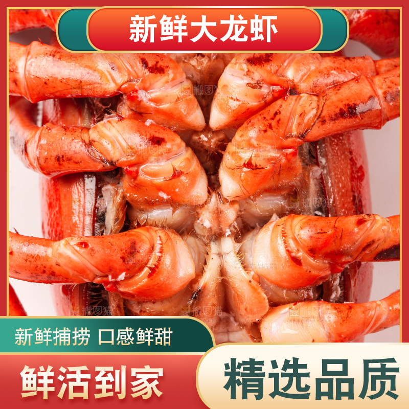 白底上放着澳洲龙虾
