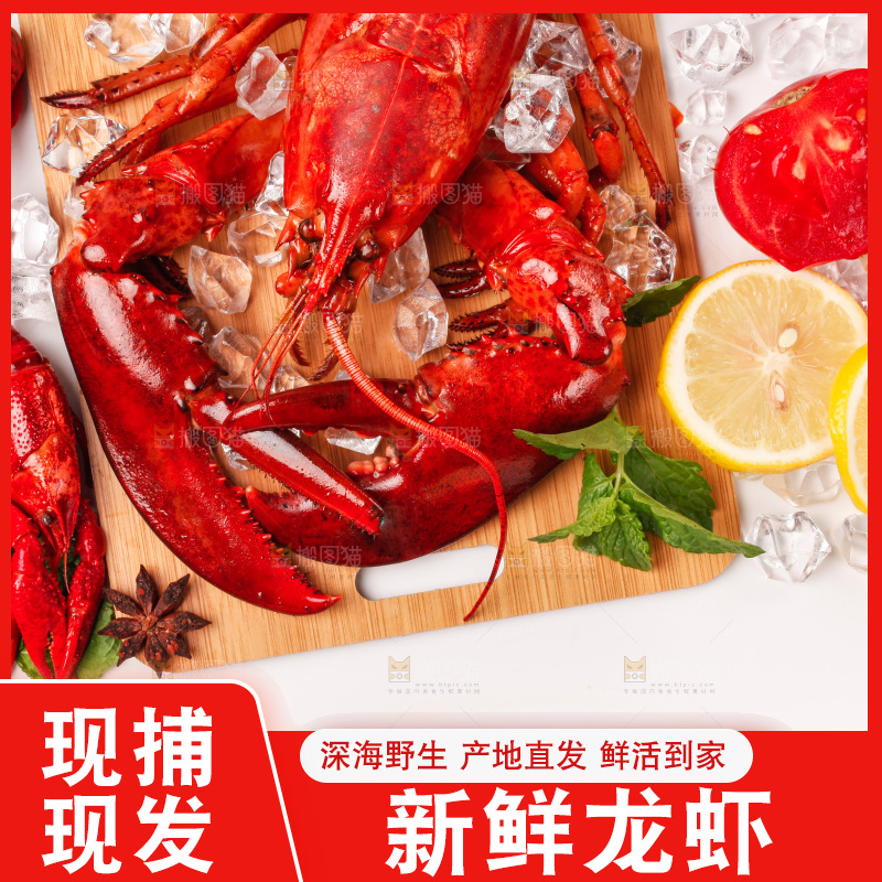 白底上的大龙虾