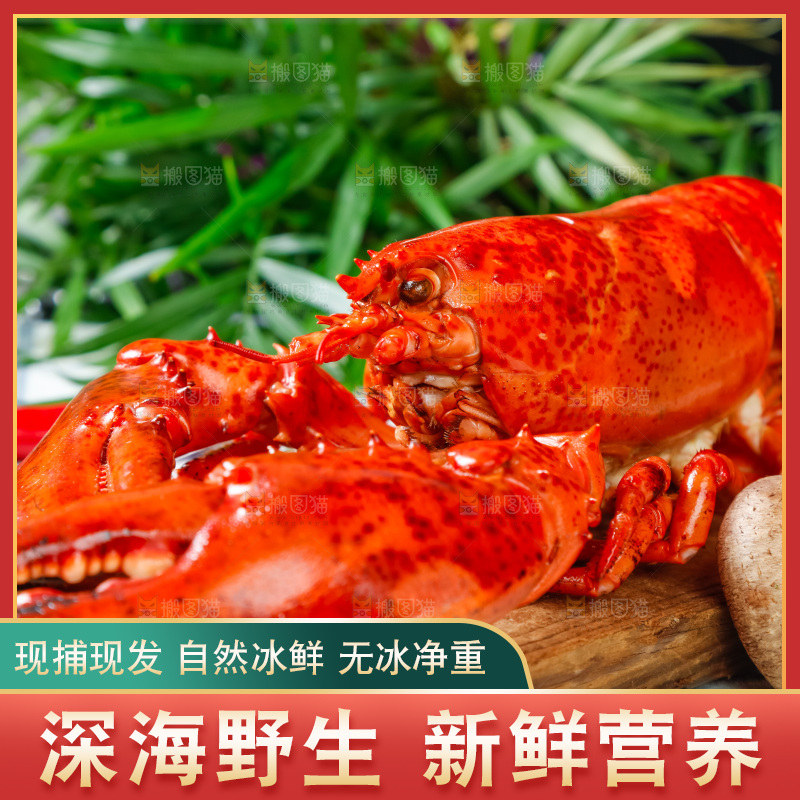 格子布上放着一盘大龙虾