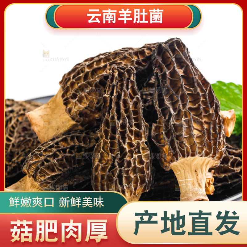 一盘干羊肚菌放在白底上
