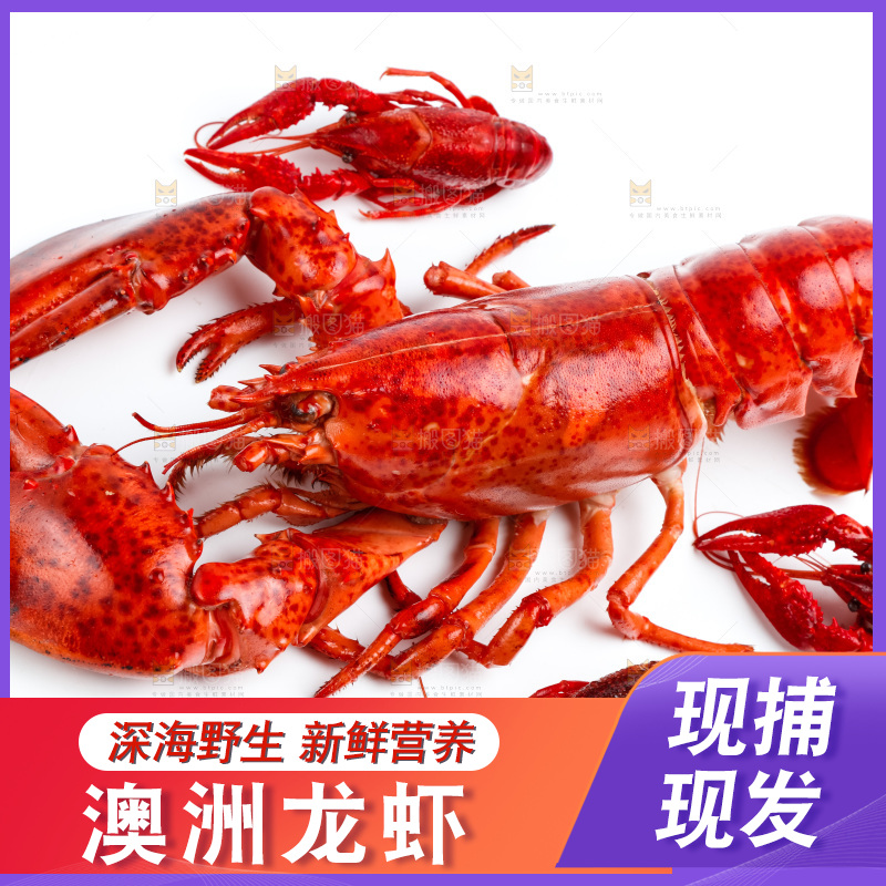 白底上放着大龙虾