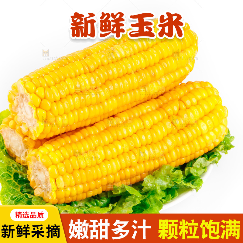 白底上放着黄玉米