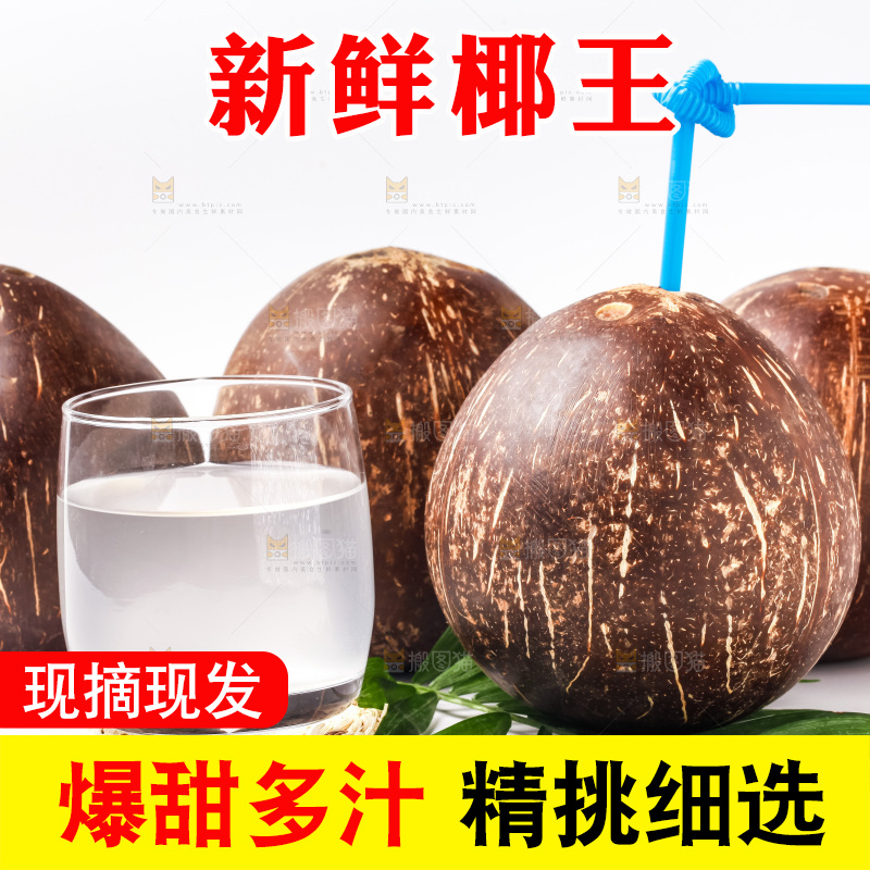 白底上摆放着老椰子