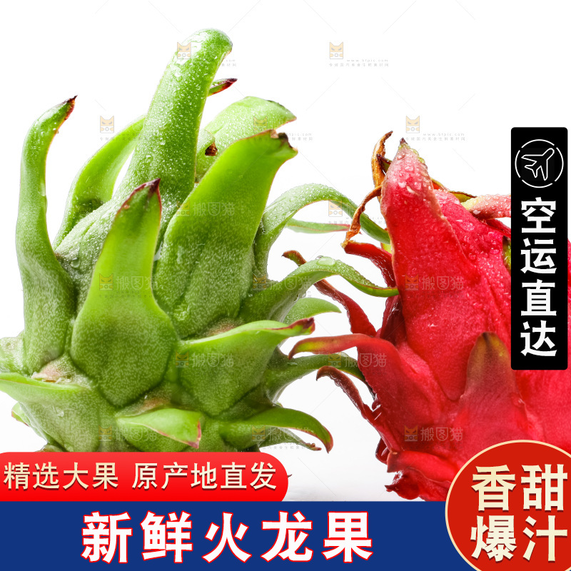 白底上的火龙果
