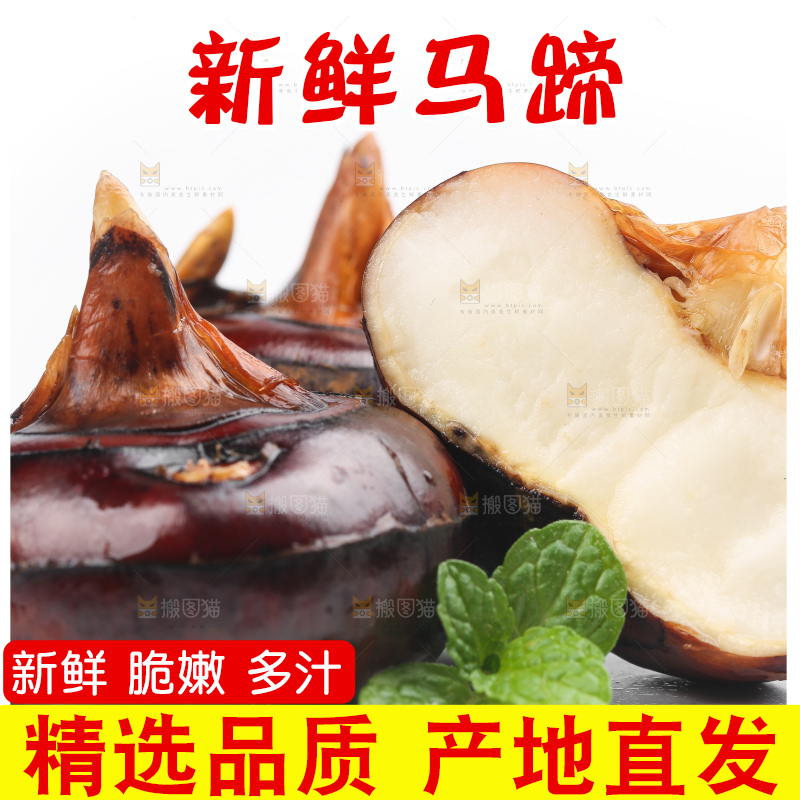 白底上放着广西马蹄